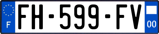 FH-599-FV