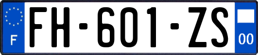 FH-601-ZS