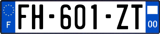 FH-601-ZT