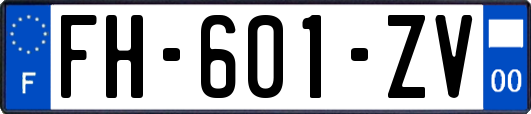 FH-601-ZV