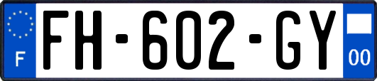 FH-602-GY
