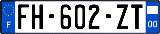 FH-602-ZT