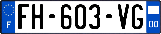 FH-603-VG