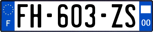 FH-603-ZS