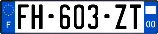 FH-603-ZT