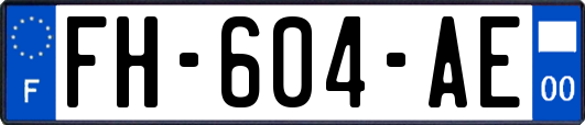 FH-604-AE