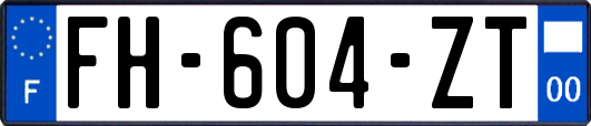 FH-604-ZT