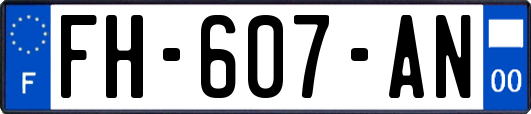 FH-607-AN