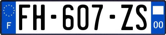 FH-607-ZS