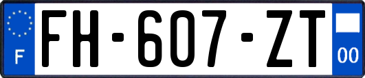 FH-607-ZT