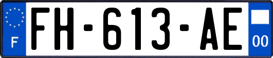 FH-613-AE