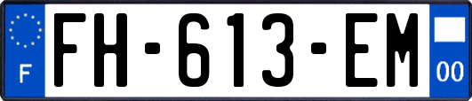 FH-613-EM