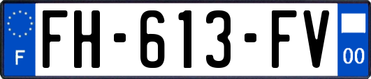 FH-613-FV