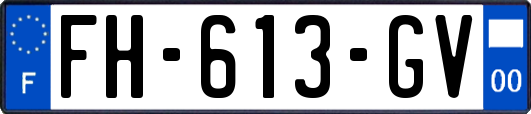 FH-613-GV