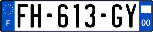 FH-613-GY
