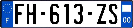 FH-613-ZS