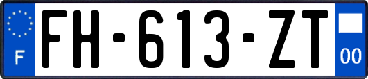 FH-613-ZT