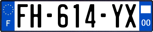 FH-614-YX