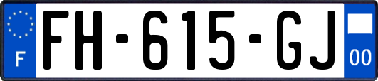 FH-615-GJ
