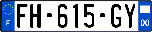 FH-615-GY