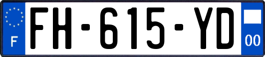 FH-615-YD