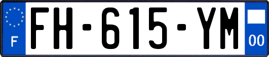FH-615-YM