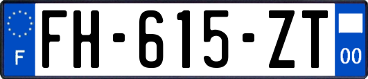 FH-615-ZT