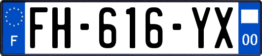 FH-616-YX