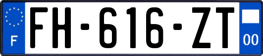 FH-616-ZT