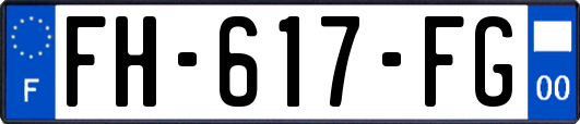FH-617-FG
