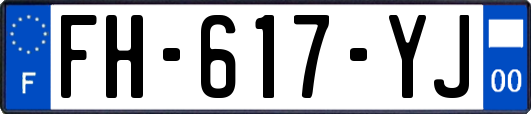 FH-617-YJ