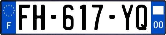 FH-617-YQ