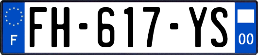 FH-617-YS