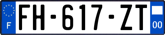 FH-617-ZT