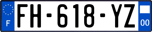 FH-618-YZ