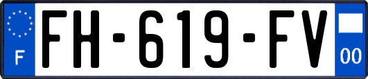 FH-619-FV