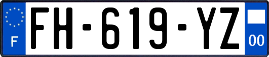 FH-619-YZ