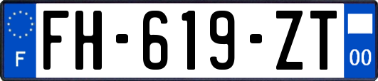 FH-619-ZT