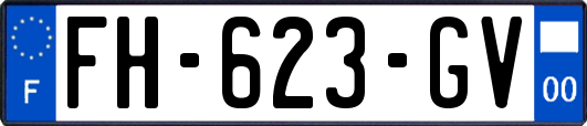 FH-623-GV