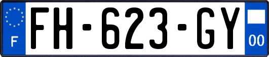FH-623-GY