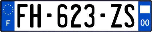 FH-623-ZS