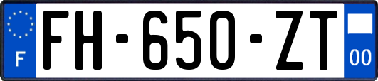 FH-650-ZT