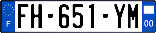 FH-651-YM