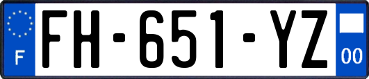 FH-651-YZ