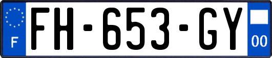 FH-653-GY