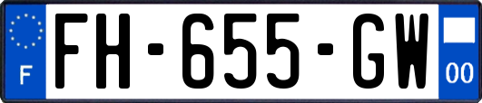 FH-655-GW