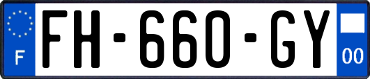 FH-660-GY