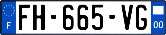 FH-665-VG