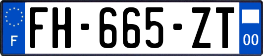 FH-665-ZT