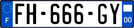 FH-666-GY